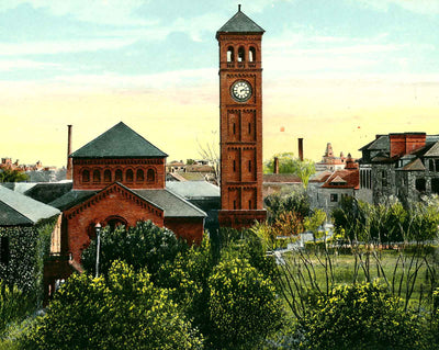 View of Grounds