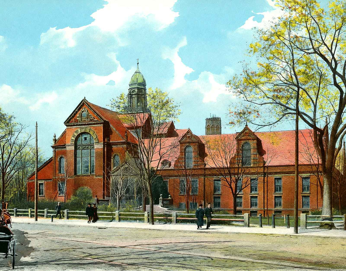 The Gymnasium, Cambridge, Massachusetts in 1904 Vintage Print (7 Sizes)