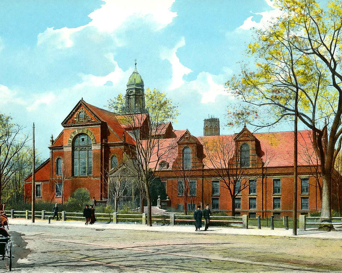 The Gymnasium