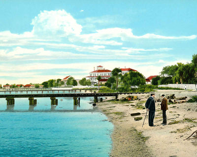 The Harbor in Sarasota vintage print