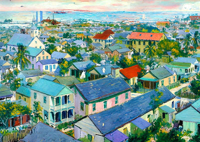 Bird's-Eye View from Lighthouse & Harbor St Augustine 1907 Art Print (7 Sizes)
