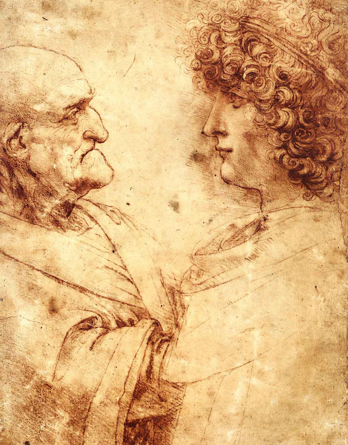 Heads of an Old Man and a Youth 1495 by Leonardo da Vinci Art Print (6 Sizes)