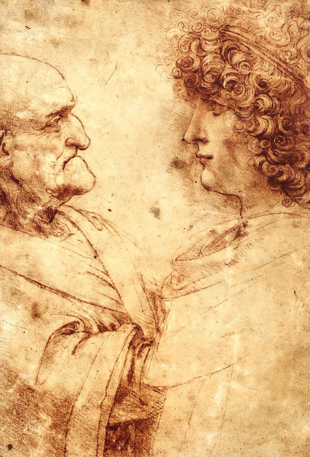 Heads of an Old Man and a Youth 1495 by Leonardo da Vinci Art Print (6 Sizes)