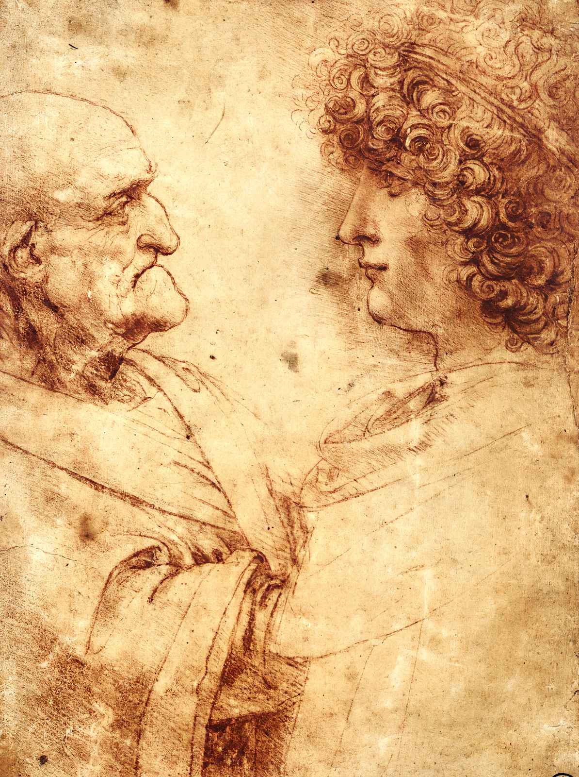 Heads of an Old Man and a Youth 1495 by Leonardo da Vinci Art Print (6 Sizes)