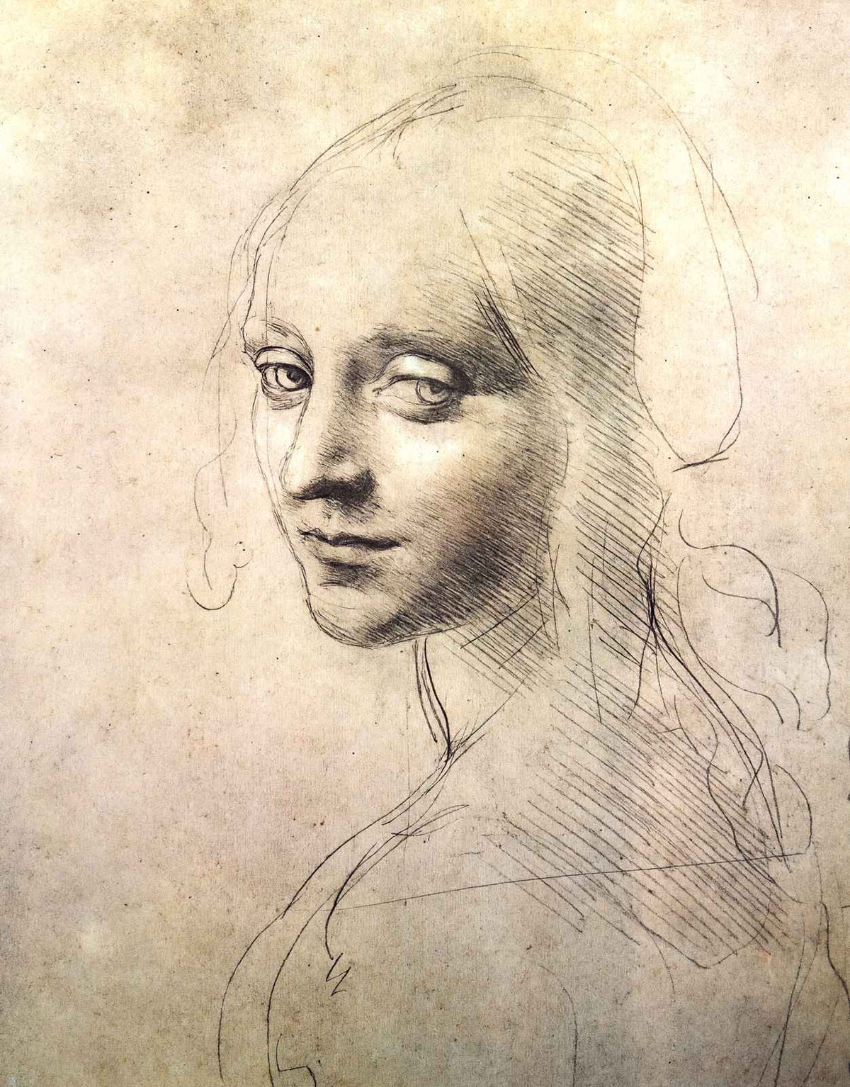 Head of a Girl Art Print 1483 Painting by Leonardo da Vinci (6 Sizes) - Restored