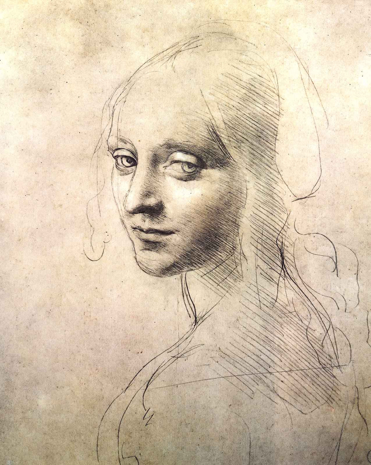 Head of a Girl art print by Leonardo da Vinci (1483)