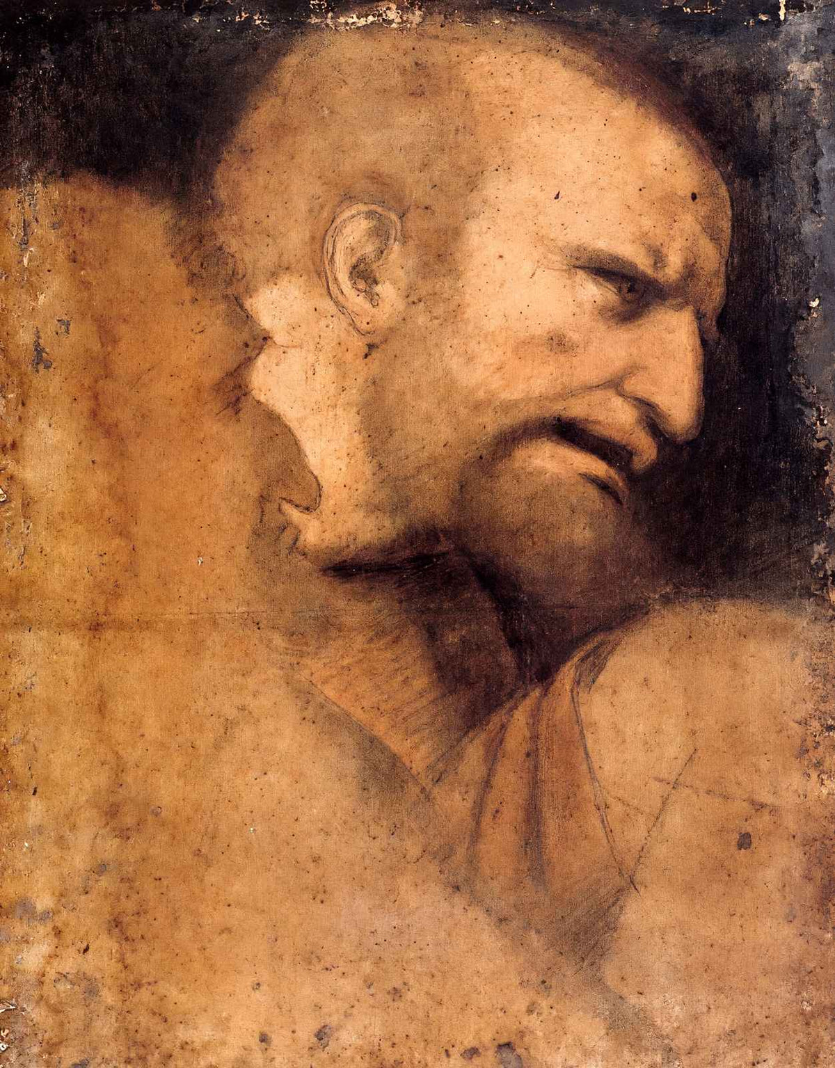 Head of St. Peter Art Print 1495 Drawing by Leonardo da Vinci (6 Sizes)
