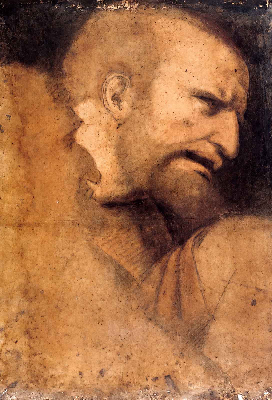 Head of St. Peter Art Print 1495 Drawing by Leonardo da Vinci (6 Sizes)