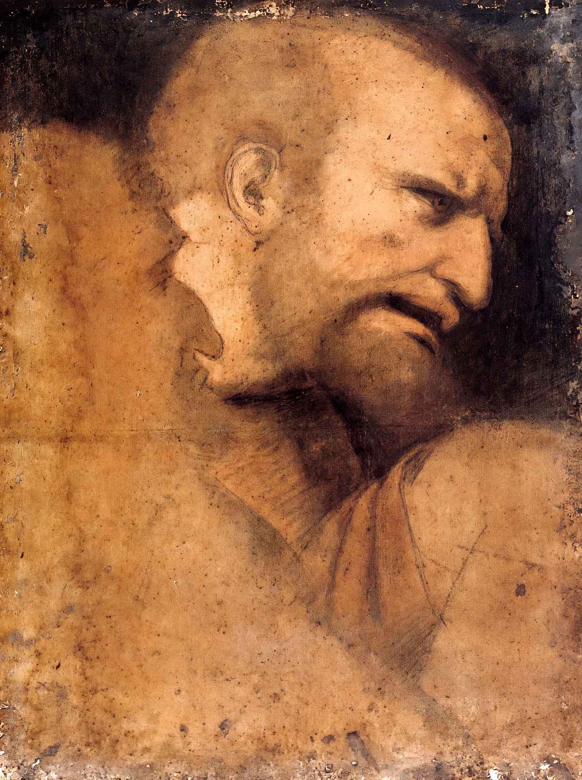Head of St. Peter Art Print 1495 Drawing by Leonardo da Vinci (6 Sizes)