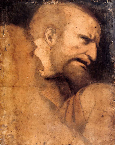 Head of St. Peter drawing by Leonardo da Vinci (1495)
