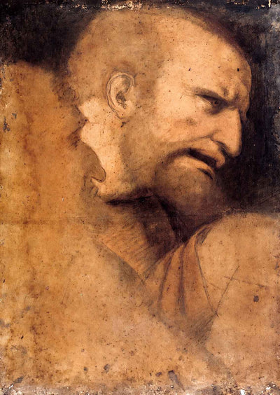 Head of St. Peter Art Print 1495 Drawing by Leonardo da Vinci (6 Sizes)