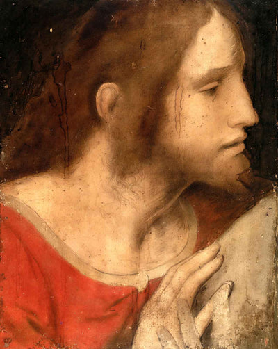 Head of St. James the Less painting by Leonardo da Vinci (1495)