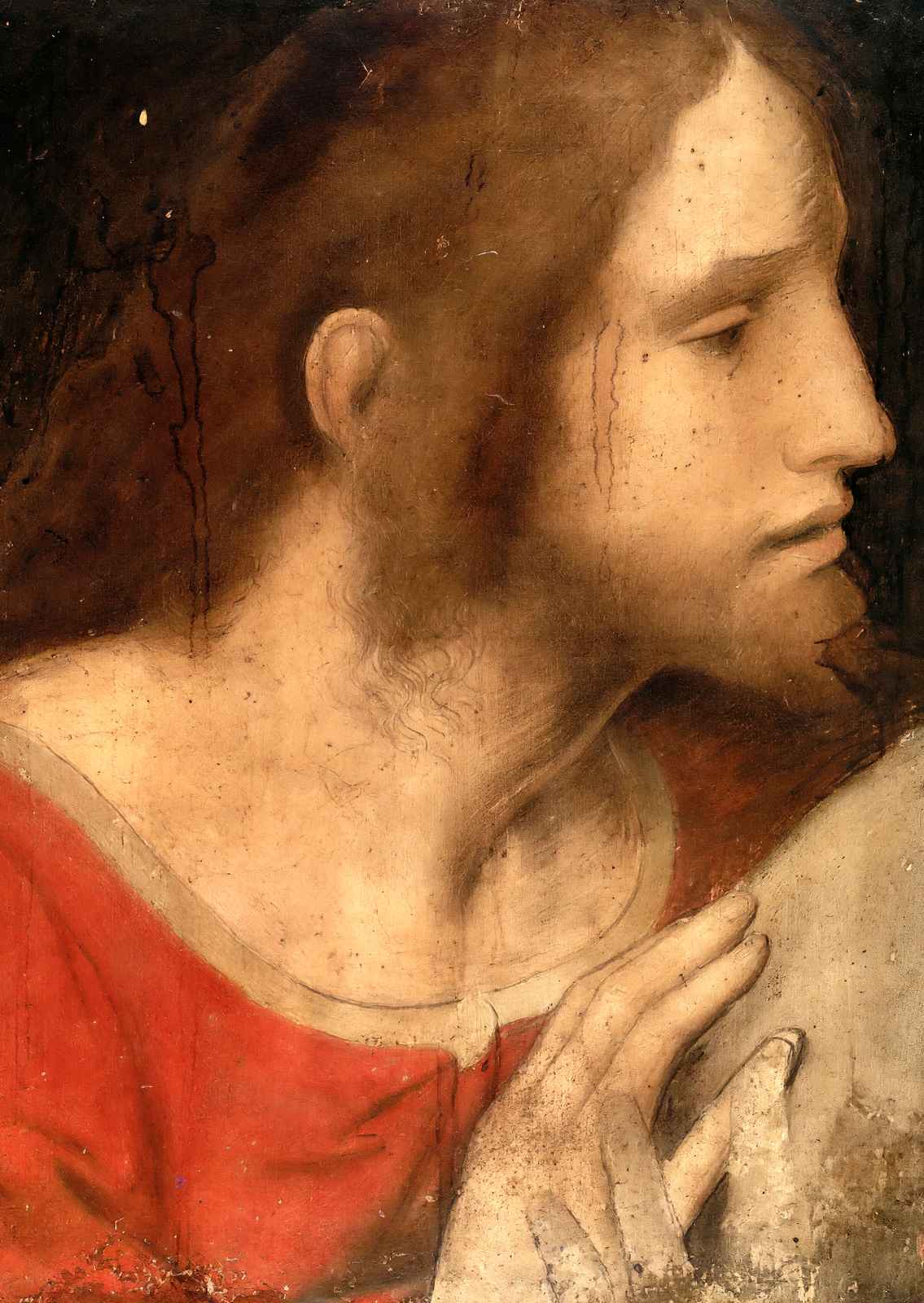 Head of St. James the Less 1495 by Leonardo da Vinci Art Print (6 Sizes)