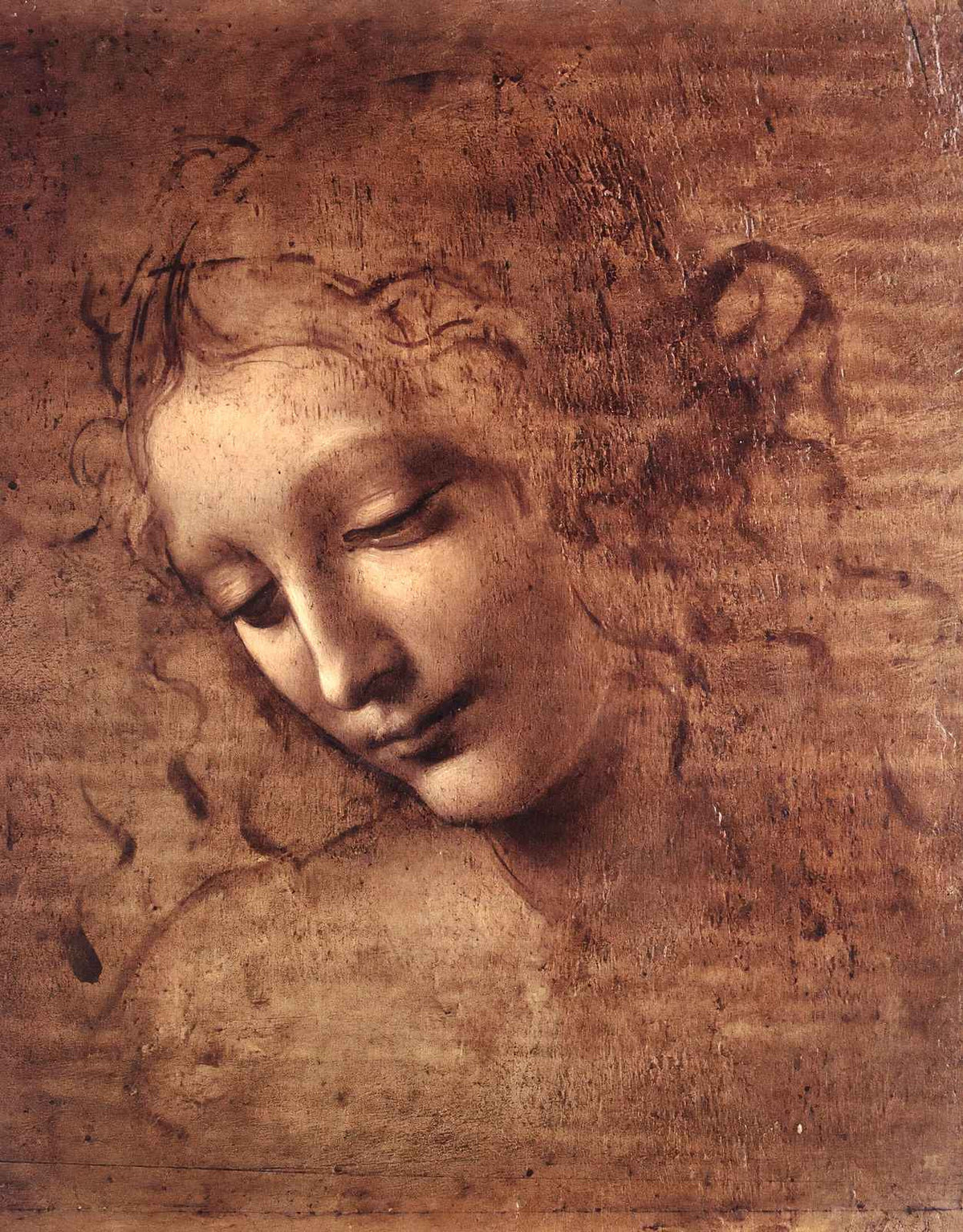 Head of a Young Woman with Tousled Hair (Leda) 1508 Art Print (6 Sizes)