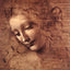 Head of a Young Woman with Tousled Hair (Leda) 1508 Art Print (6 Sizes)