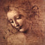 Head of a Young Woman with Tousled Hair (Leda) drawing print by Leonardo da Vinci (1508)