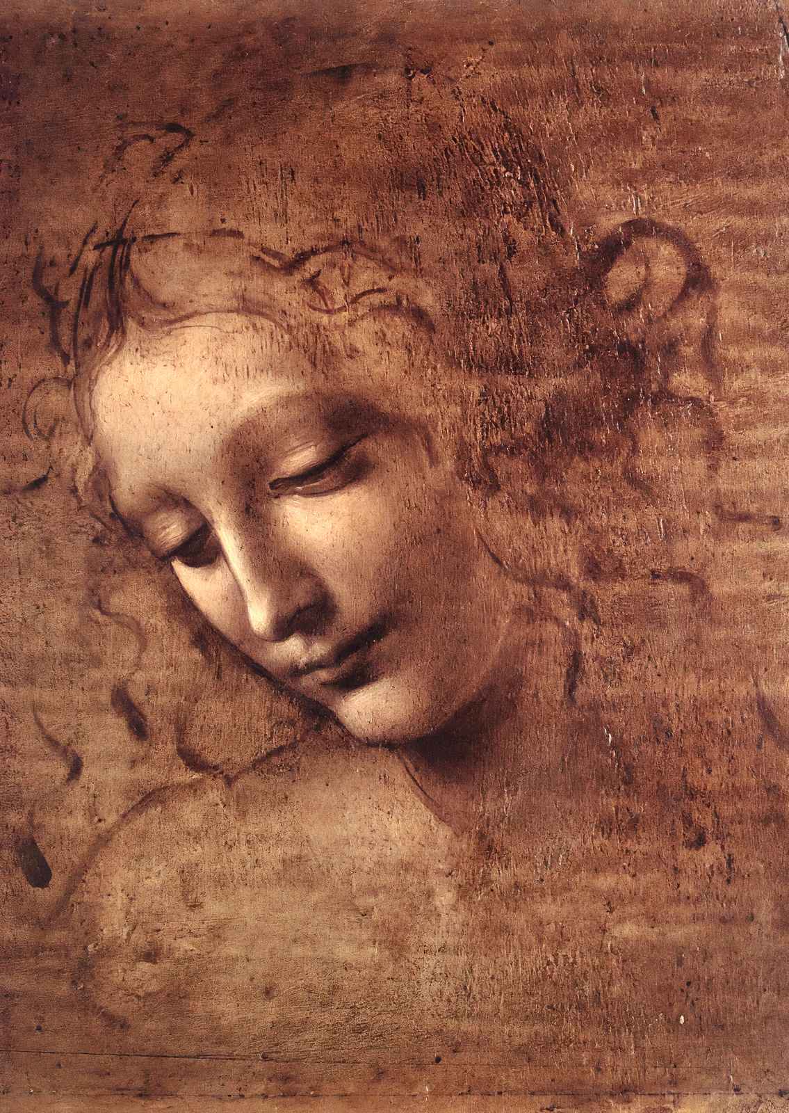 Head of a Young Woman with Tousled Hair (Leda) 1508 Art Print (6 Sizes)