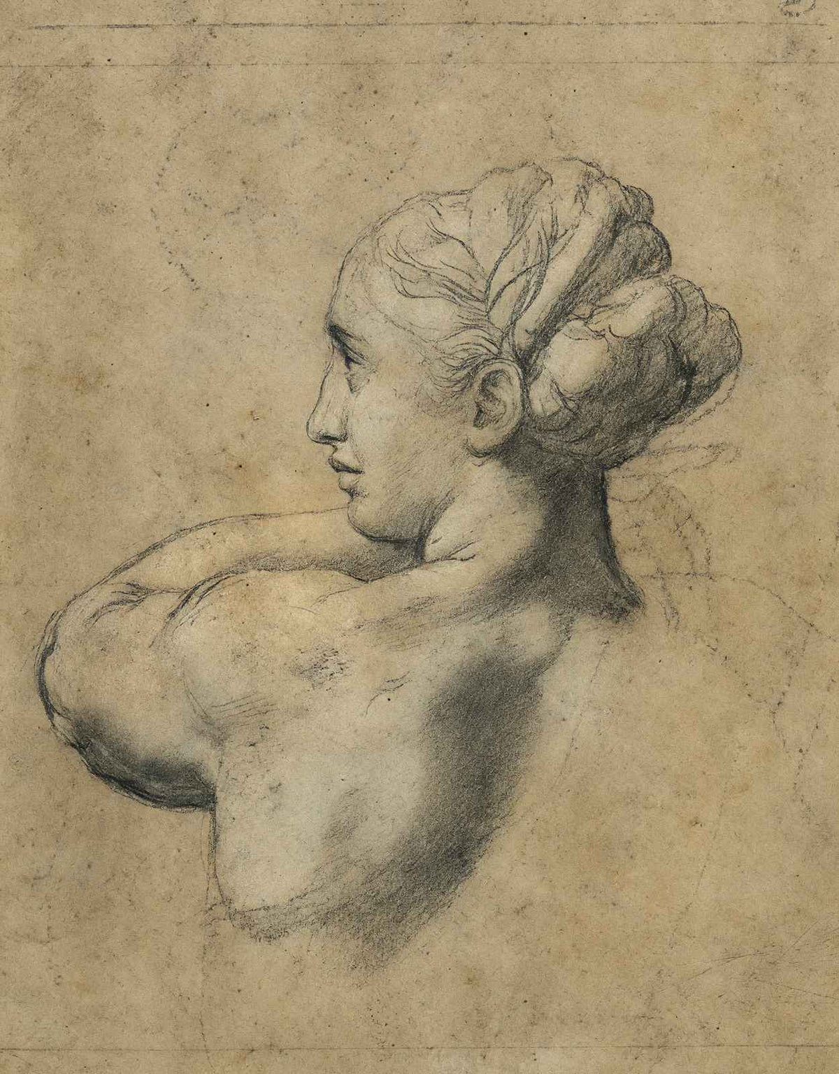 Head of a Woman 1520 Painting by Raphael Art Print (6 Sizes) - Premium Quality