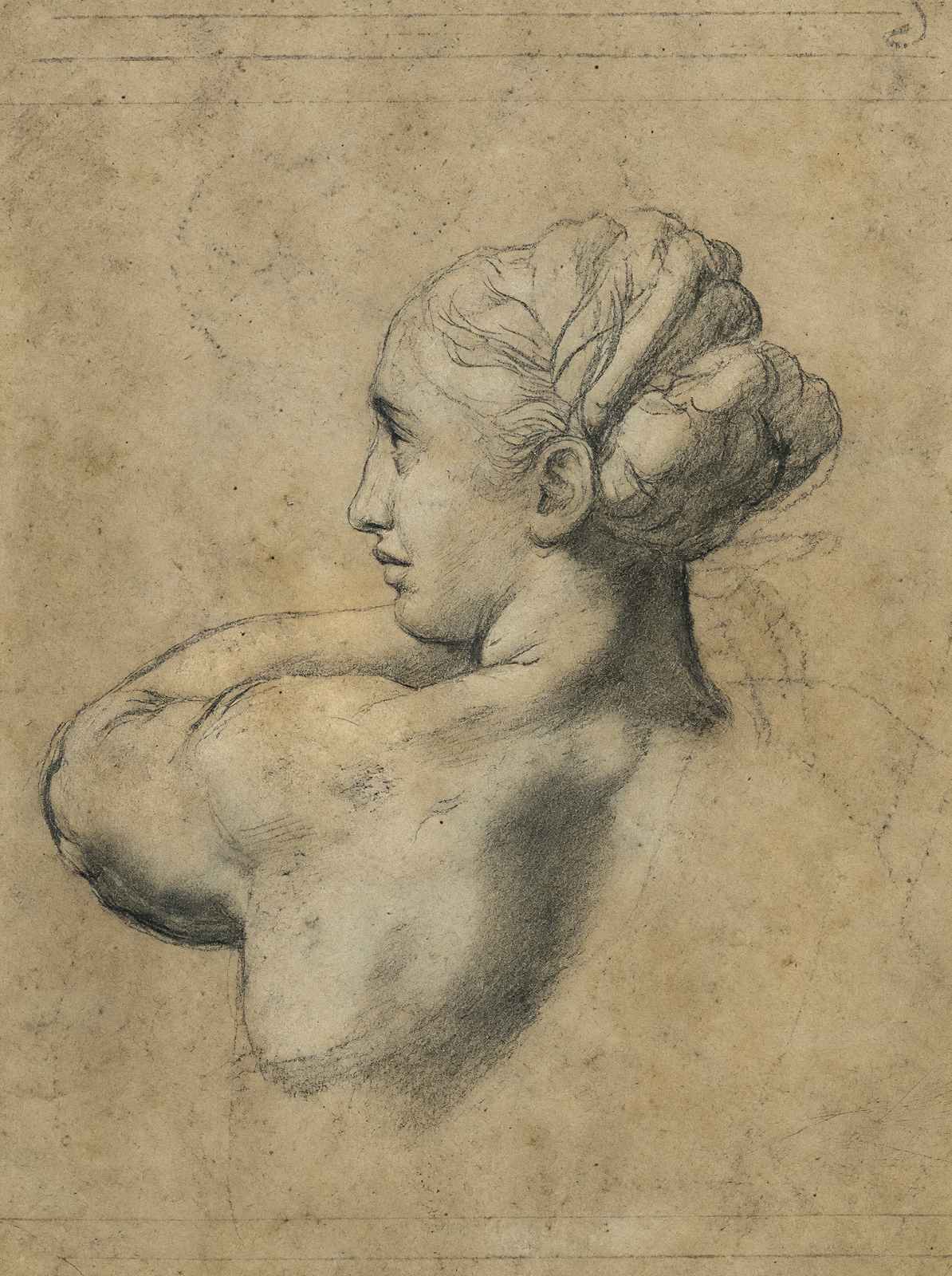 Head of a Woman 1520 Painting by Raphael Art Print (6 Sizes) - Premium Quality