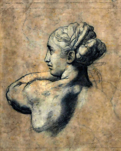 Head of a Woman Painting by Raphael 8x10" Art Print - Premium Quality
