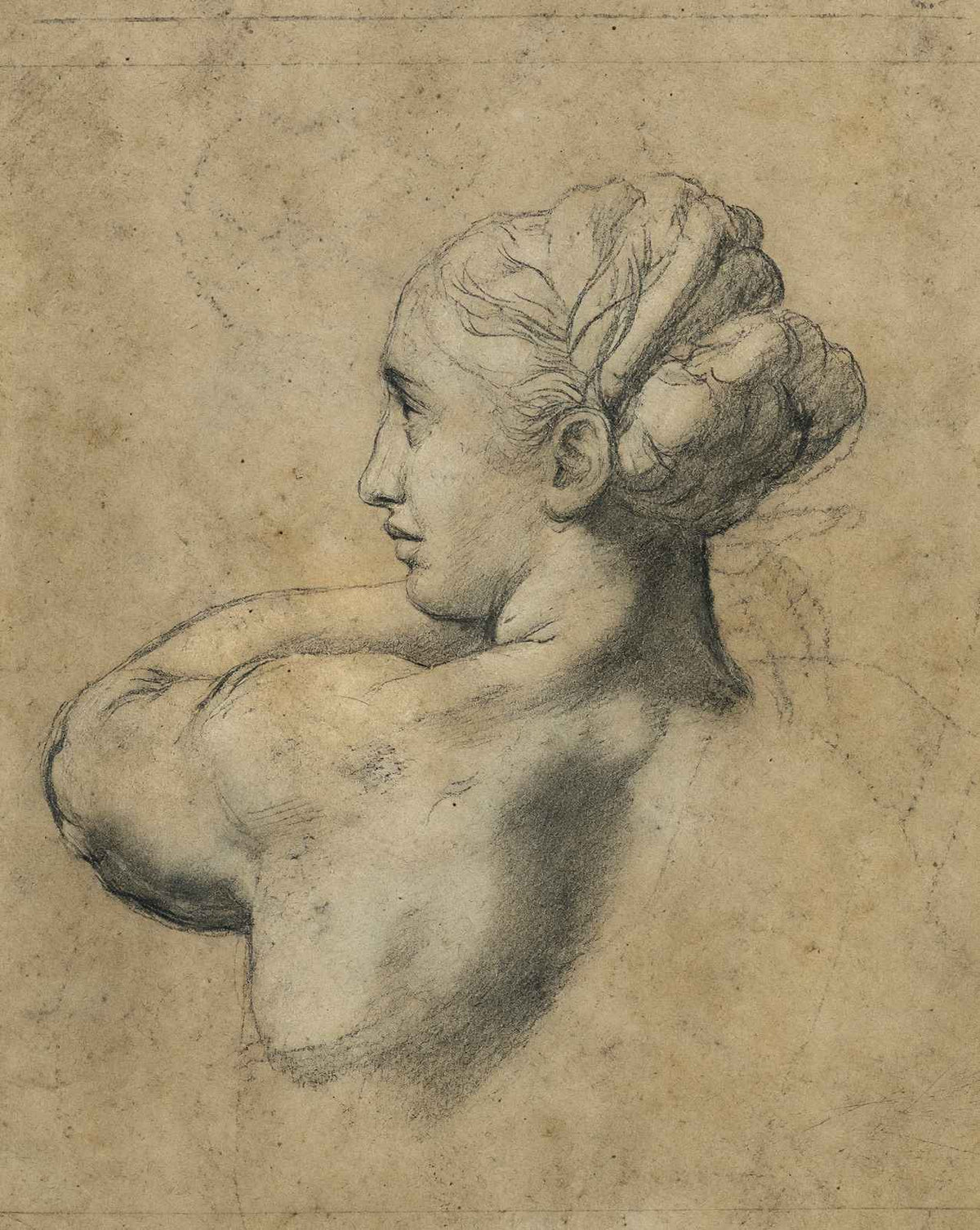 Head of a Woman painting print by Raphael (1520)
