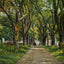 The Hermitage Savannah GA in 1905 Vintage Print (7 Sizes) - Retouched