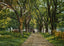 The Hermitage Savannah GA in 1905 Vintage Print (7 Sizes) - Retouched