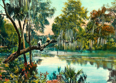 Hillsborough River Tampa FL in 1905 Art Print (7 Sizes) - Acid Free