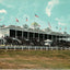 Oak Lawn Race Track Hot Springs AR in 1906 Vintage Print (7 Sizes)