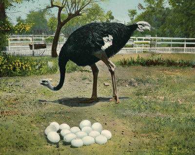 Nesting - a Quiet Corner vintage print