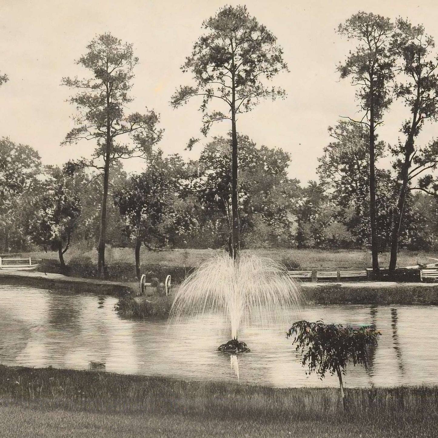 Lake at Sam Houston Park Houston in 1906 Vintage Print (7 Sizes) - Restored