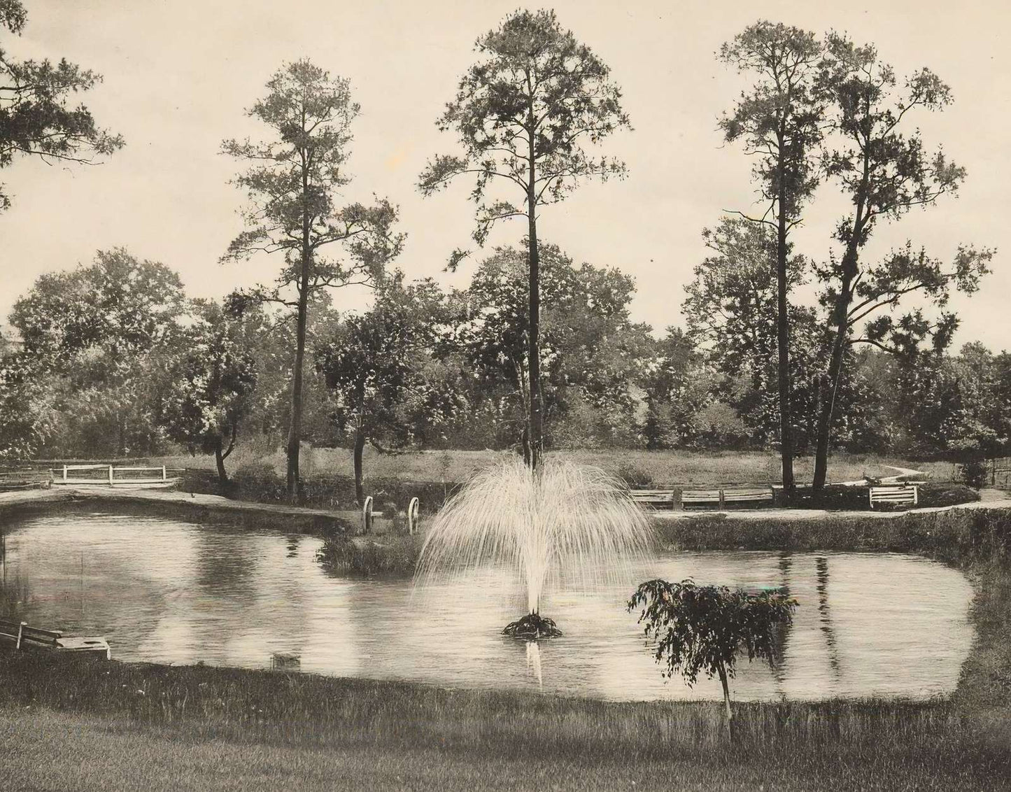 Lake at Sam Houston Park Houston in 1906 Vintage Print (7 Sizes) - Restored