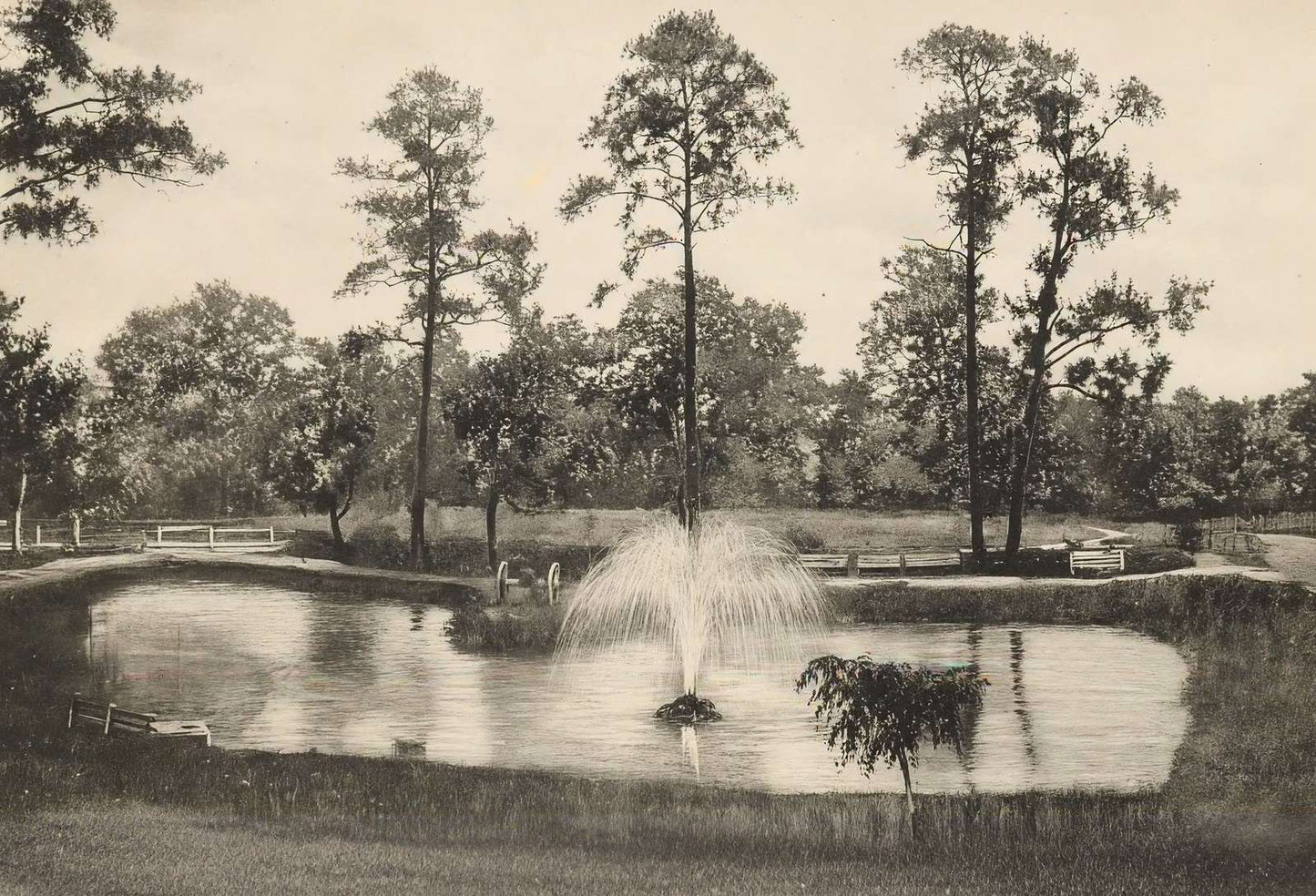 Lake at Sam Houston Park Houston in 1906 Vintage Print (7 Sizes) - Restored