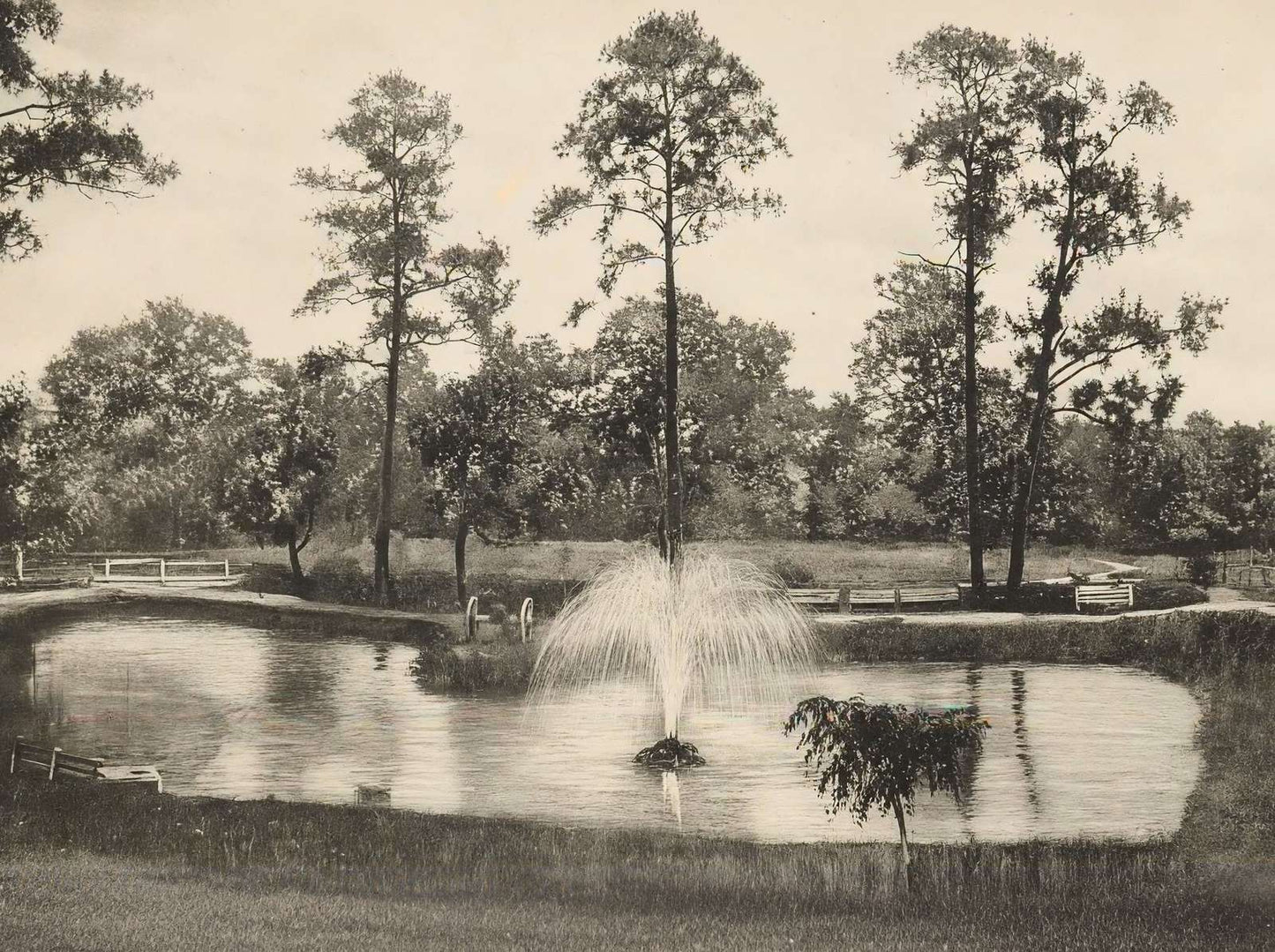 Lake at Sam Houston Park Houston in 1906 Vintage Print (7 Sizes) - Restored