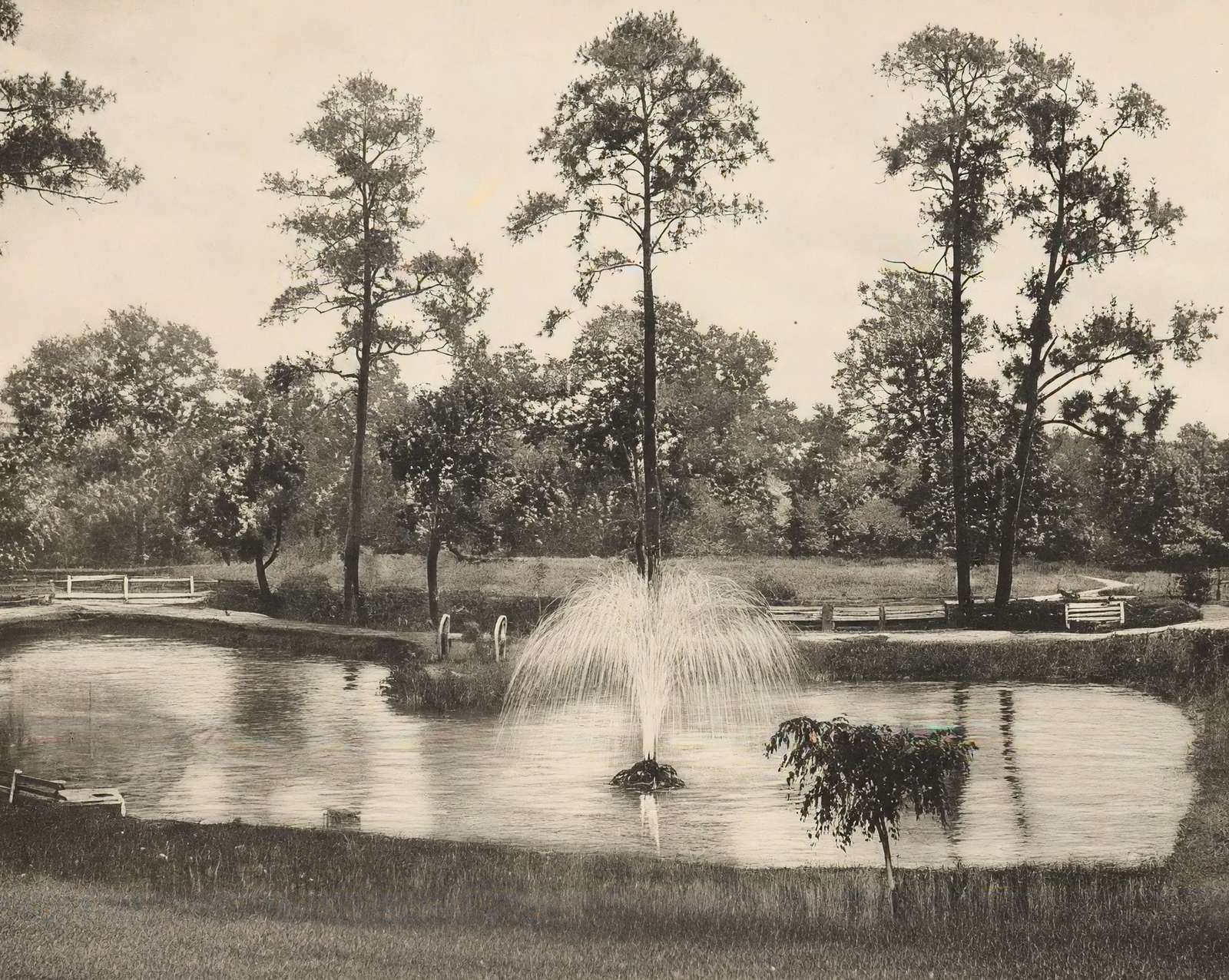 Lake at Sam Houston Park