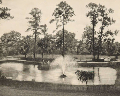 Lake at Sam Houston Park