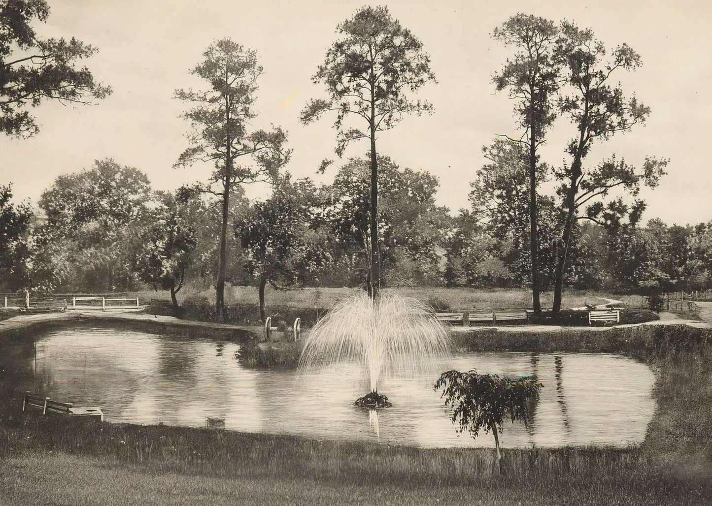 Lake at Sam Houston Park Houston in 1906 Vintage Print (7 Sizes) - Restored