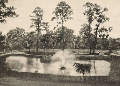 Lake at Sam Houston Park Houston in 1906 Vintage Print (7 Sizes) - Restored