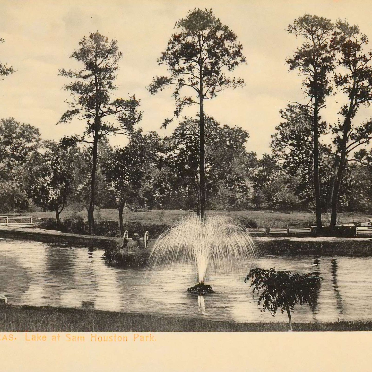 Lake at Sam Houston Park Houston in 1907 Vintage Print (7 Sizes) - Acid Free