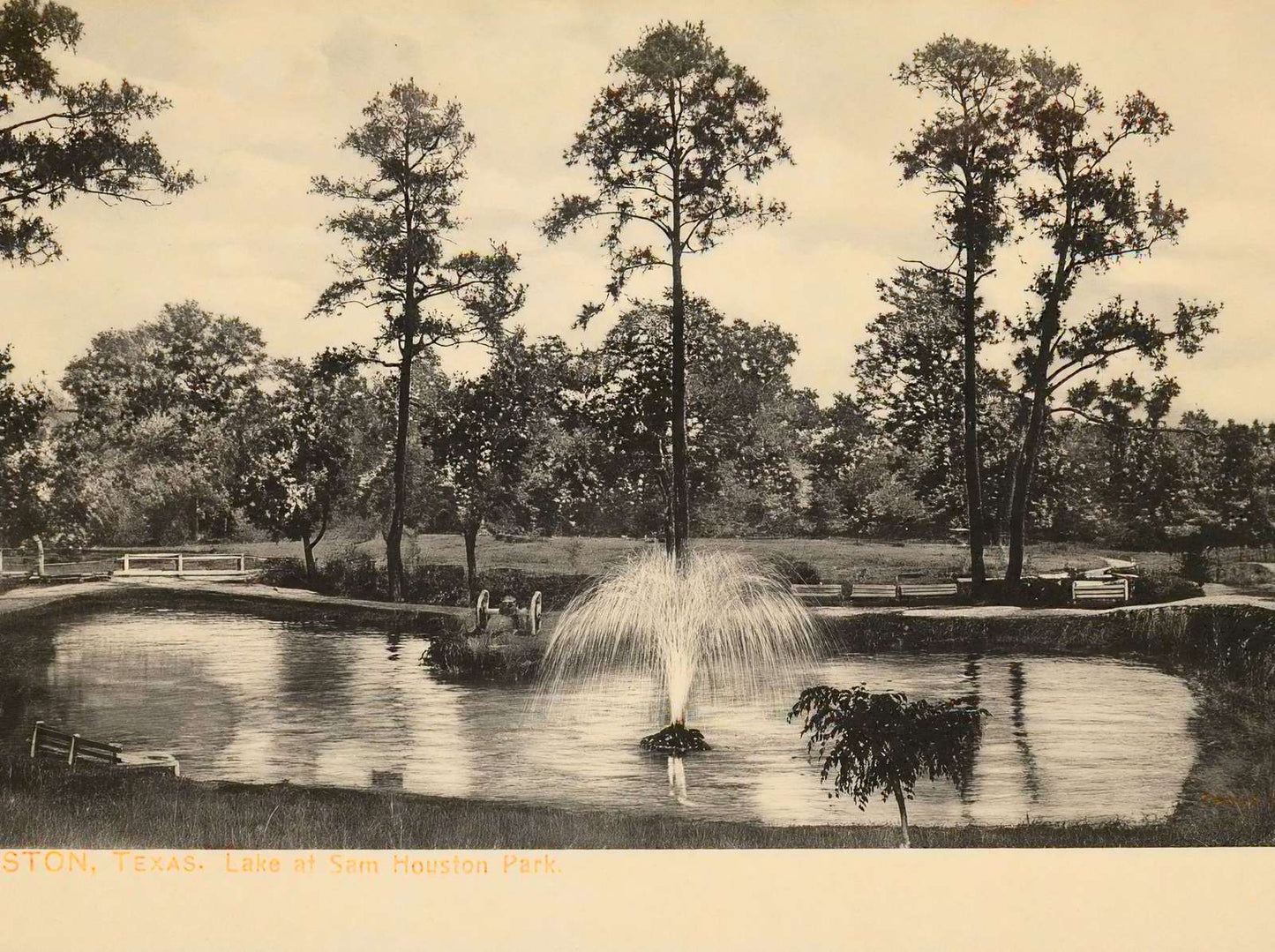 Lake at Sam Houston Park Houston in 1907 Vintage Print (7 Sizes) - Acid Free