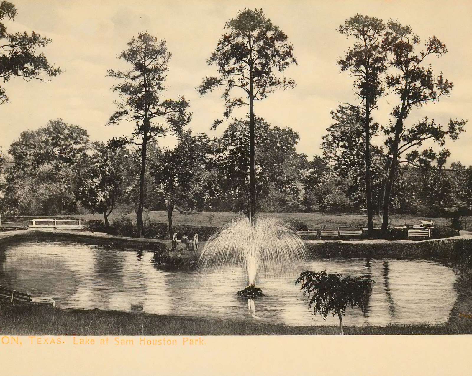 Lake at Sam Houston Park