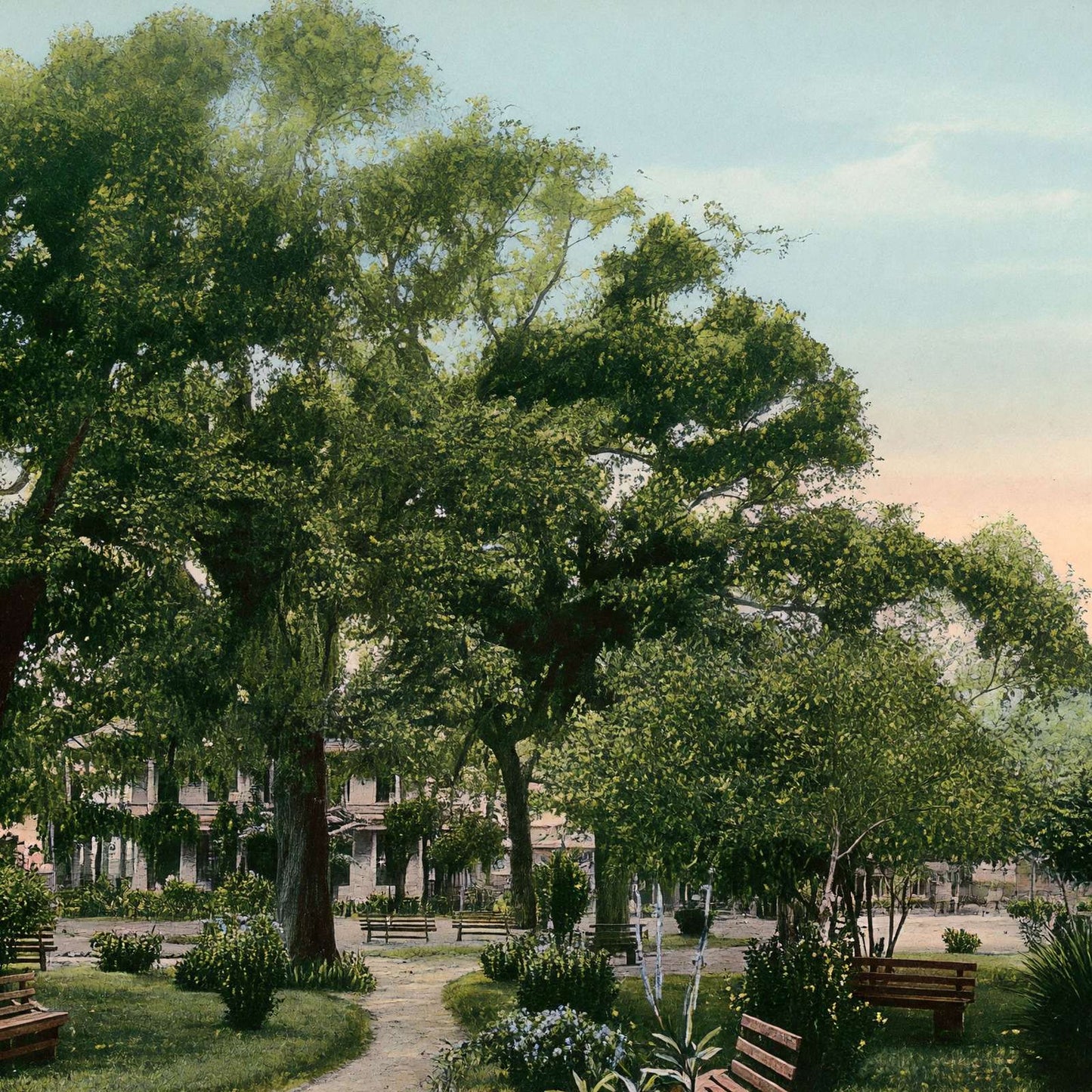 Scene at Sam Houston Park Houston in 1906 Vintage Print (7 Sizes)