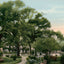 Scene at Sam Houston Park Houston in 1906 Vintage Print (7 Sizes)