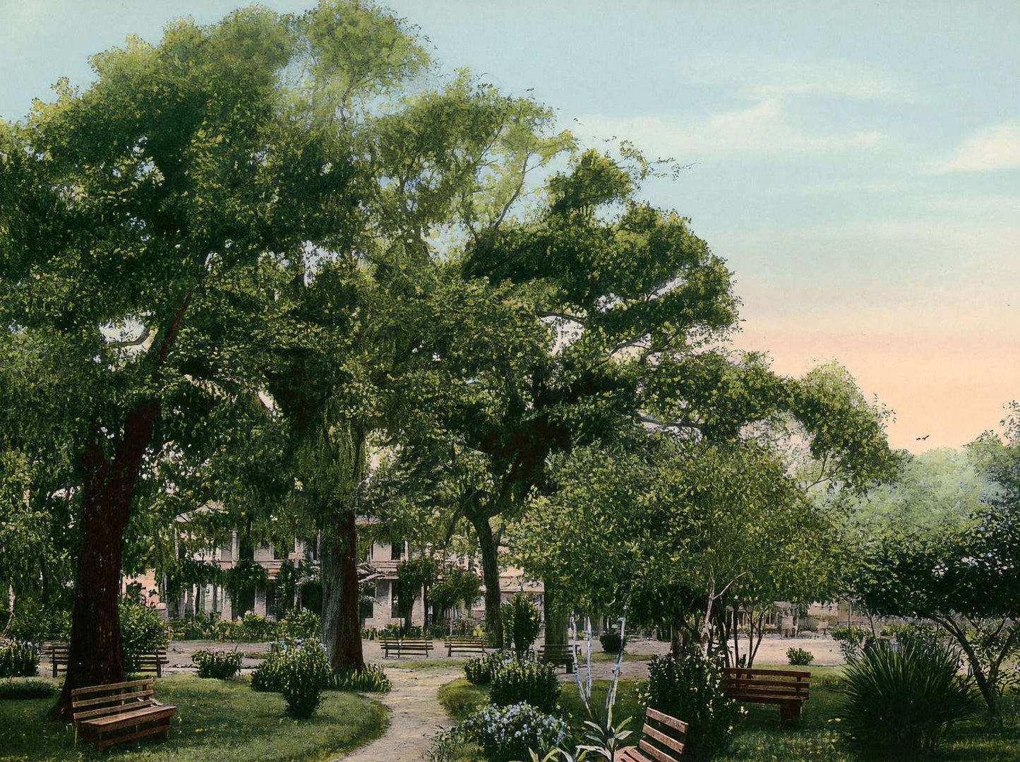 Scene at Sam Houston Park Houston in 1906 Vintage Print (7 Sizes)