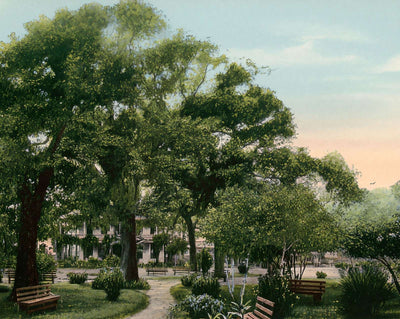 Scene at Sam Houston Park
