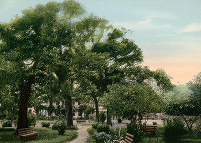 Scene at Sam Houston Park Houston in 1906 Vintage Print (7 Sizes)