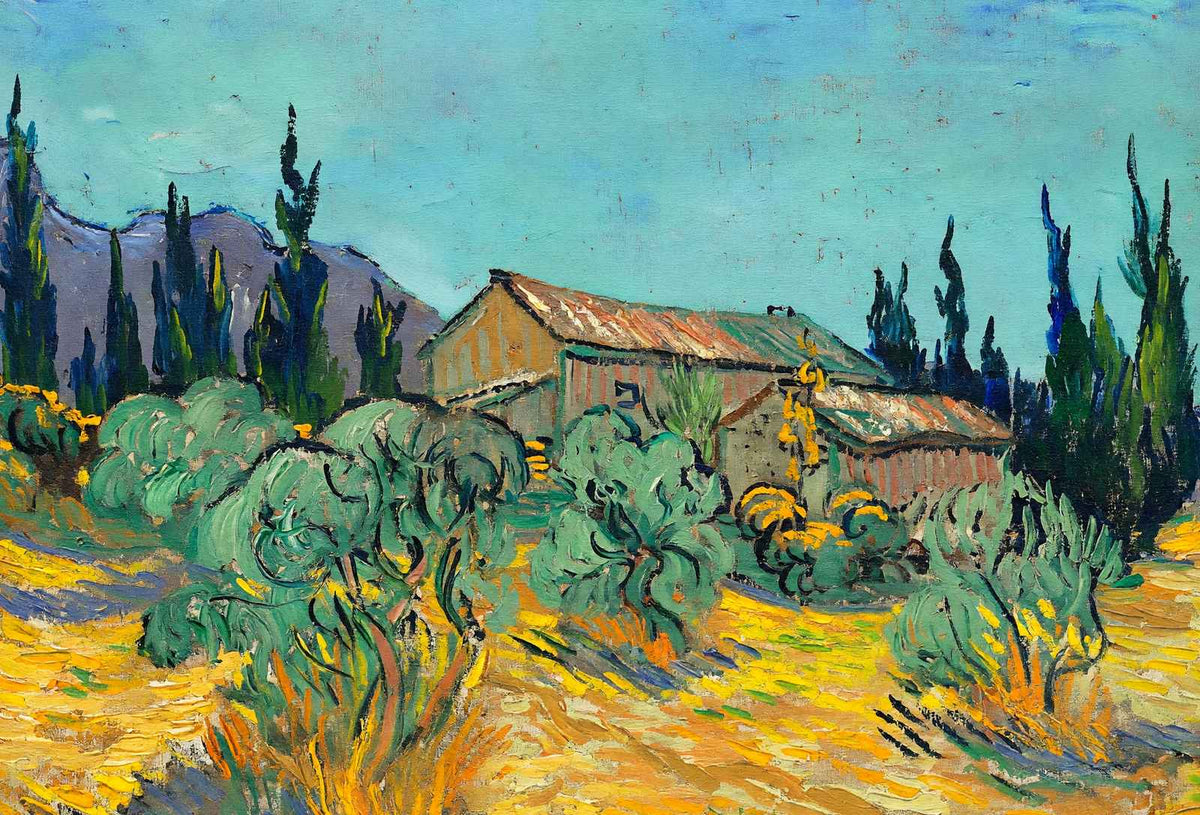 Huts Surrounded by Olive Trees by Vincent van Gogh Fine Art Print (6 Sizes)