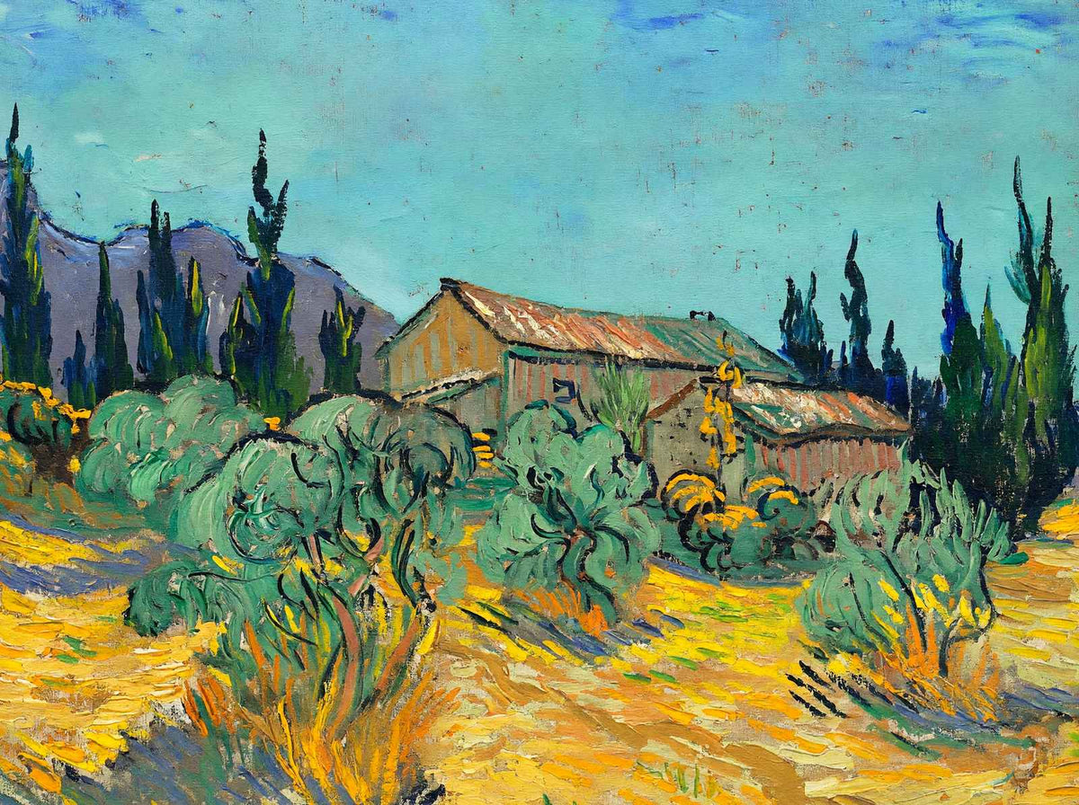 Huts Surrounded by Olive Trees by Vincent van Gogh Fine Art Print (6 Sizes)