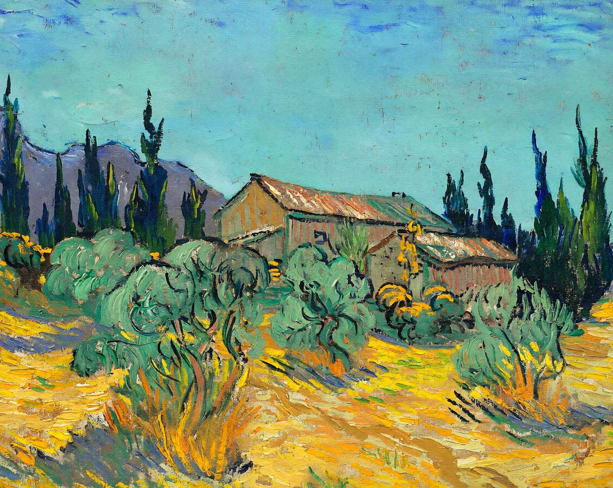 Huts Surrounded fine art print by Olive Trees Painting by Vincent van Gogh