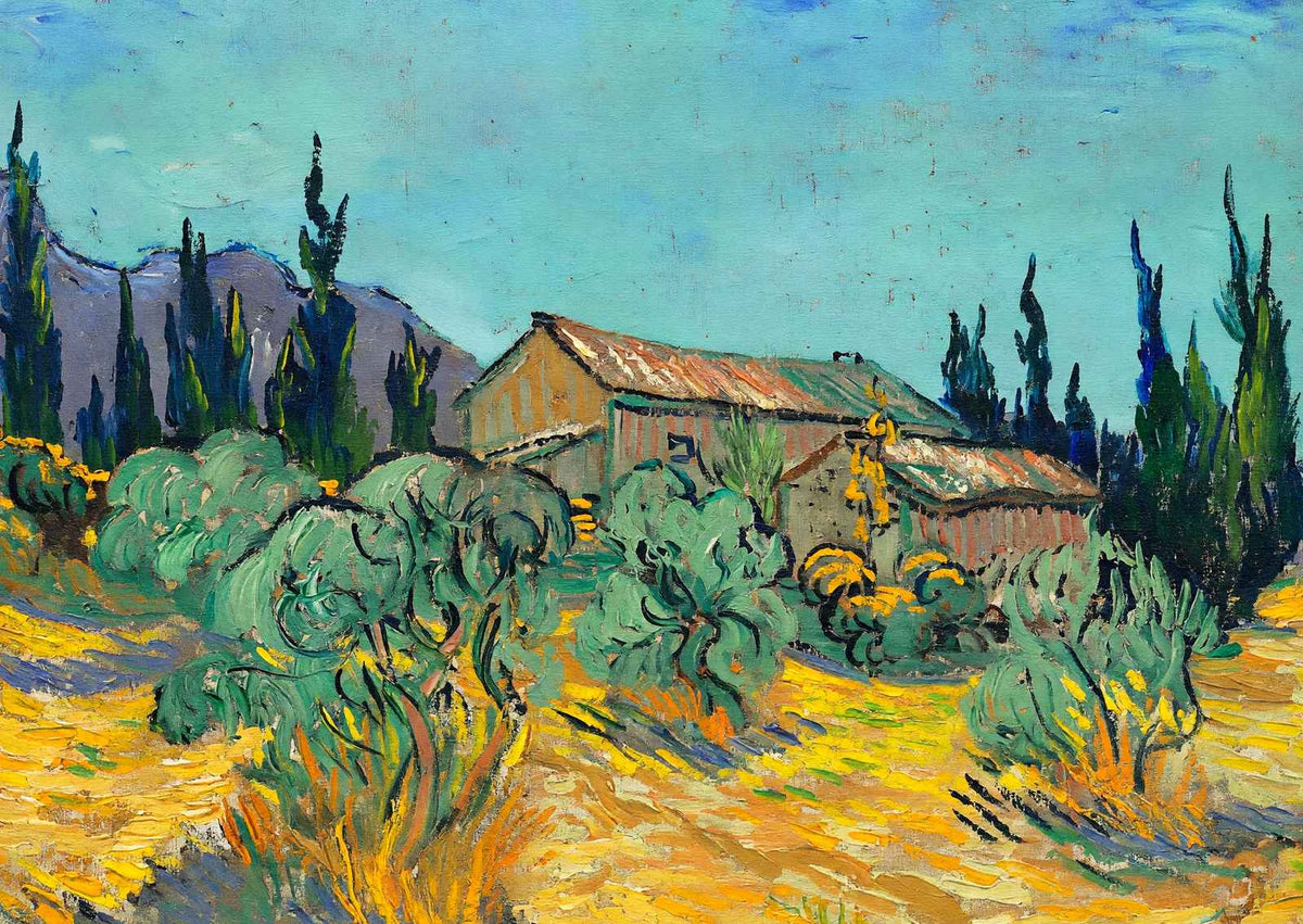 Huts Surrounded by Olive Trees by Vincent van Gogh Fine Art Print (6 Sizes)